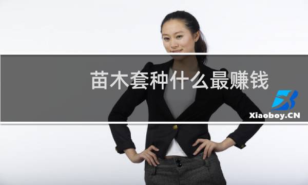 苗木套种什么最赚钱