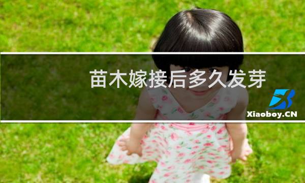 苗木嫁接后多久发芽