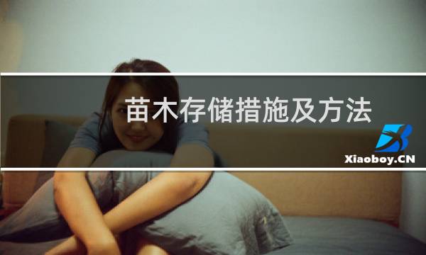 苗木存储措施及方法