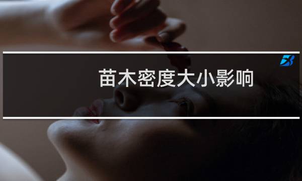 苗木密度大小影响