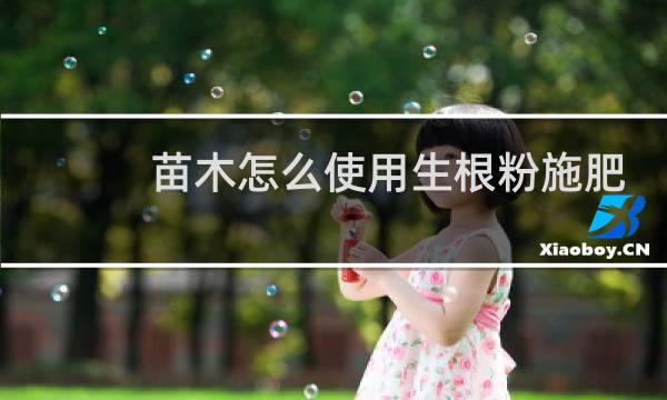 苗木怎么使用生根粉施肥