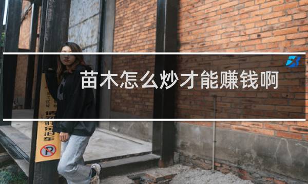 苗木怎么炒才能赚钱啊