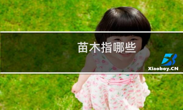 苗木指哪些