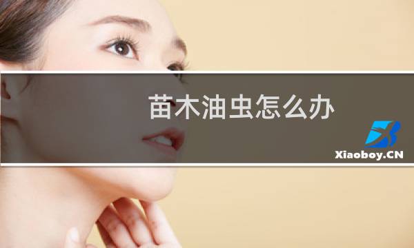 苗木油虫怎么办