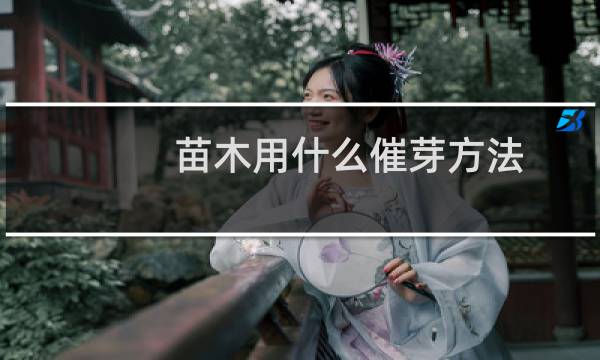 苗木用什么催芽方法