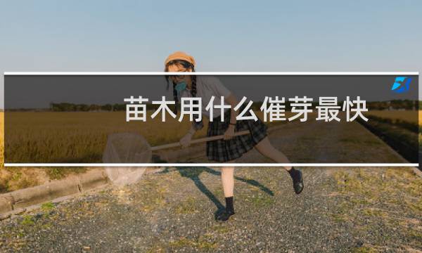 苗木用什么催芽最快