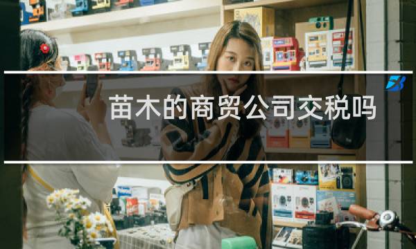 苗木的商贸公司交税吗