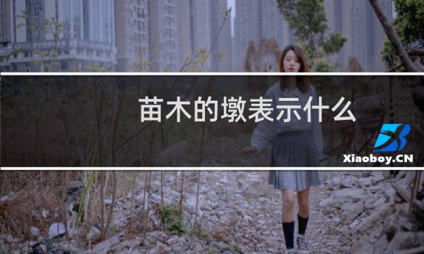 苗木的墩表示什么