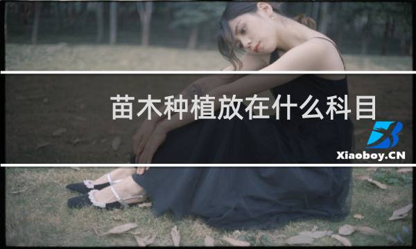 苗木种植放在什么科目