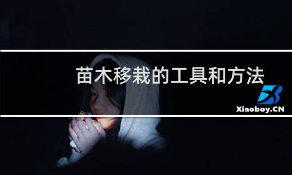 苗木移栽的工具和方法