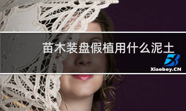 苗木装盘假植用什么泥土