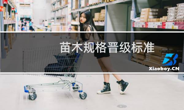 苗木规格晋级标准