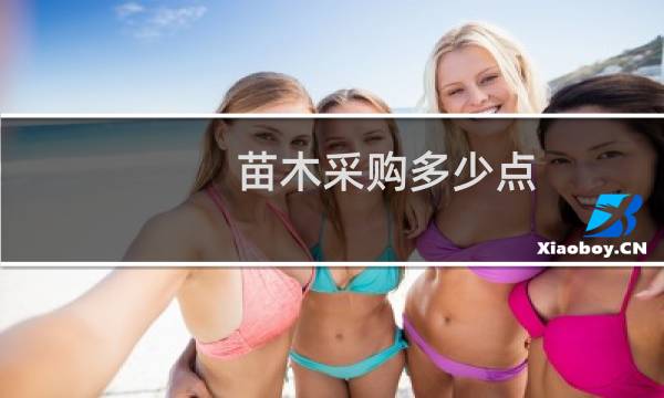 苗木采购多少点