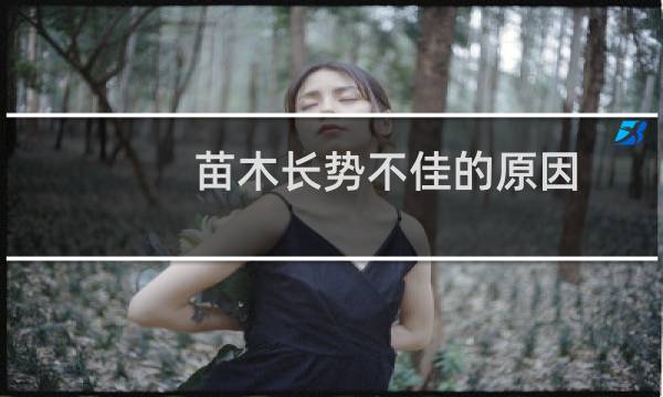苗木长势不佳的原因