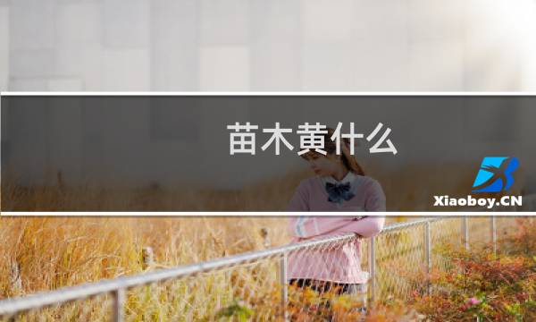 苗木黄什么