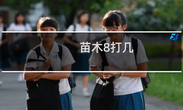 苗木8打几