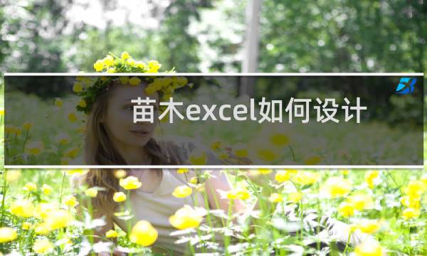 苗木excel如何设计