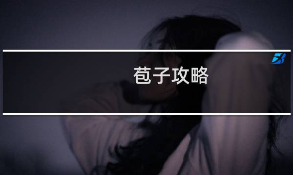 苞子攻略
