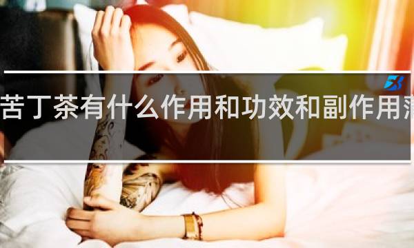 苦丁茶有什么作用和功效和副作用蒲公英