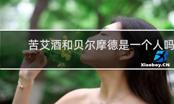苦艾酒和贝尔摩德是一个人吗