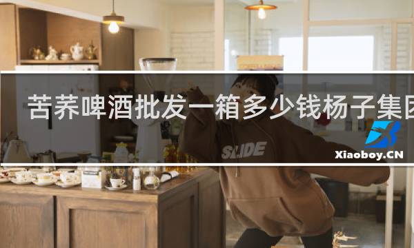 苦荞啤酒批发一箱多少钱杨子集团的