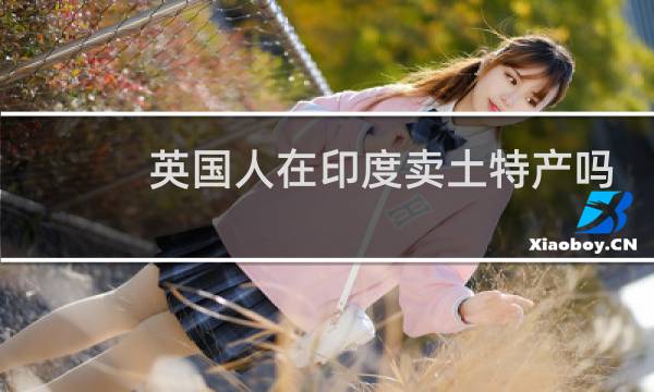 英国人在印度卖土特产吗