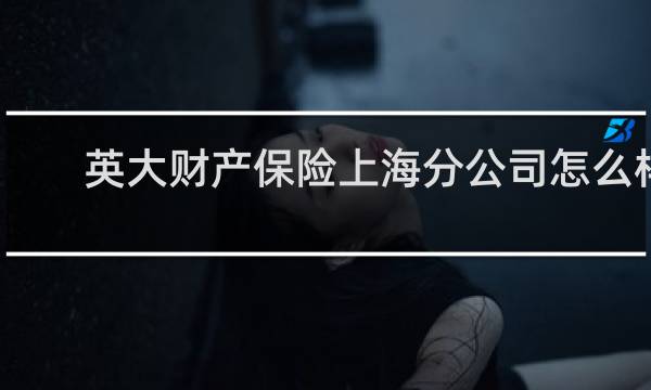 英大财产保险上海分公司怎么样