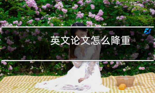 英文论文怎么降重