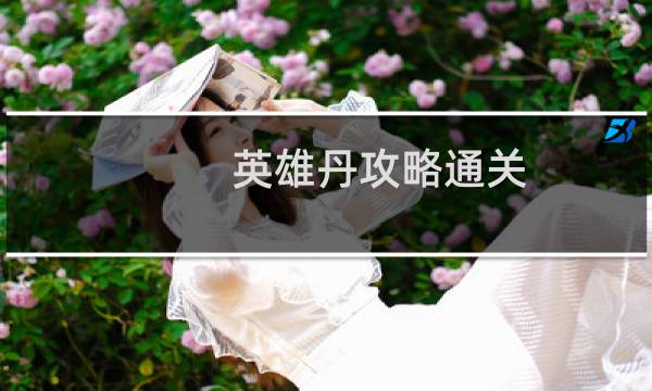 英雄丹攻略通关