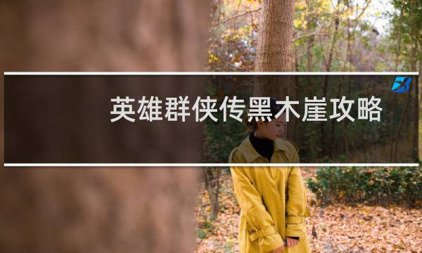 英雄群侠传黑木崖攻略