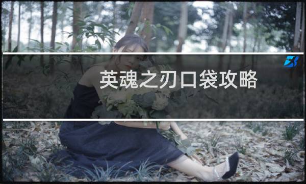 英魂之刃口袋攻略