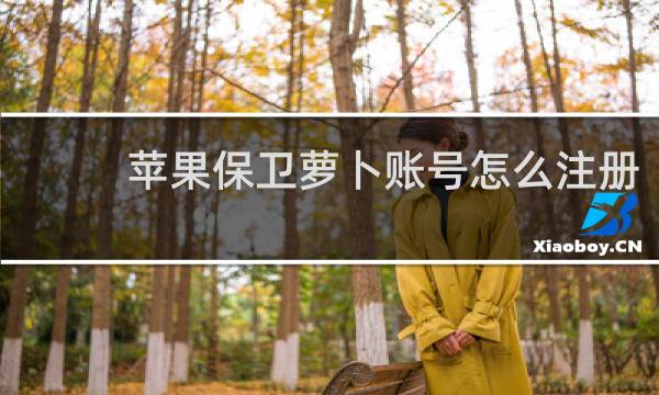 苹果保卫萝卜账号怎么注册