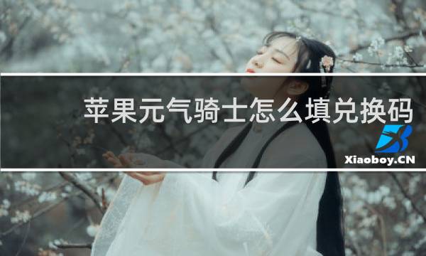 苹果元气骑士怎么填兑换码