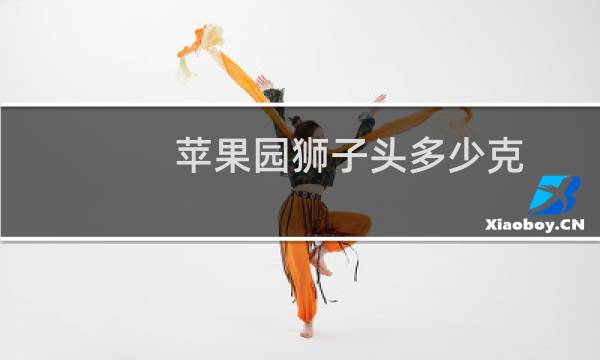 苹果园狮子头多少克