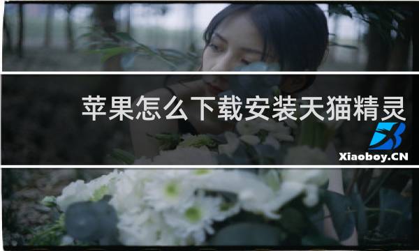 苹果怎么下载安装天猫精灵
