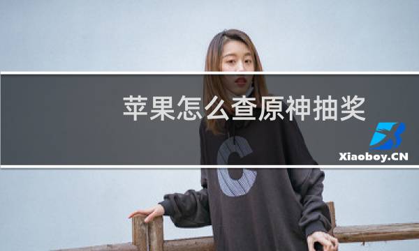 苹果怎么查原神抽奖