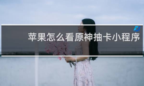 苹果怎么看原神抽卡小程序