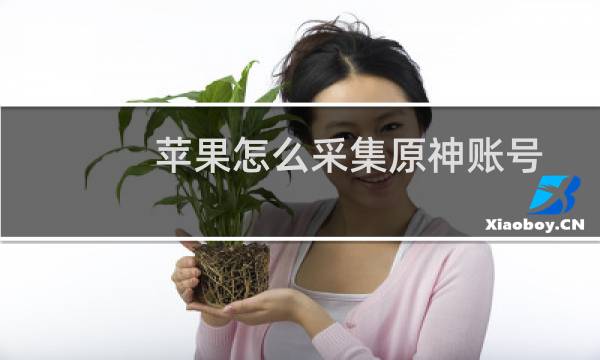 苹果怎么采集原神账号