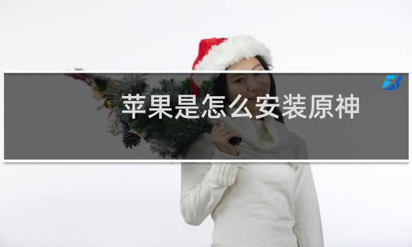 苹果是怎么安装原神