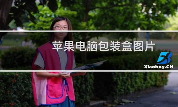 苹果电脑包装盒图片