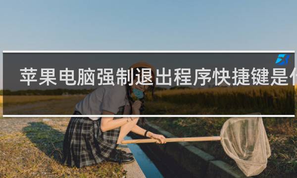苹果电脑强制退出程序快捷键是什么