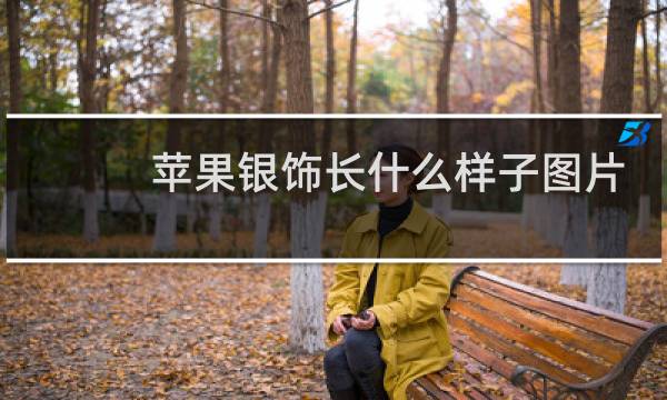 苹果银饰长什么样子图片