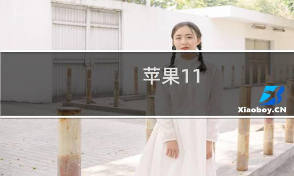 苹果11 攻略