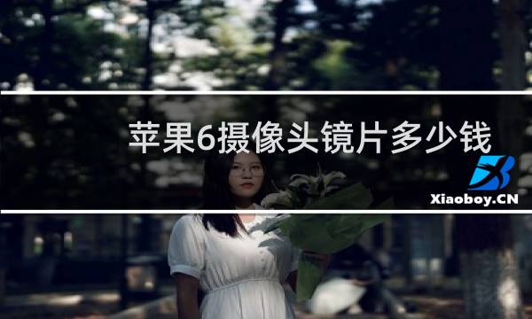 苹果6摄像头镜片多少钱
