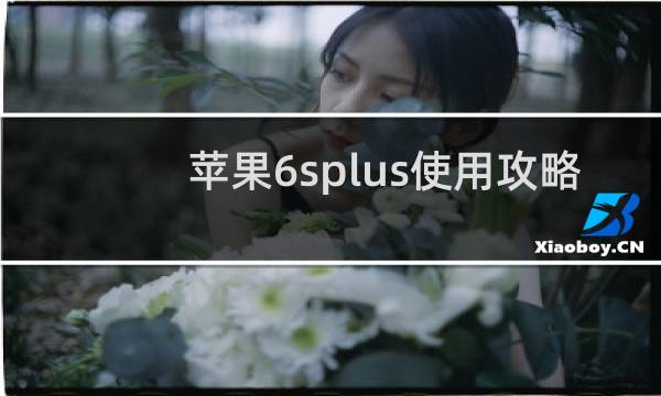 苹果6splus使用攻略