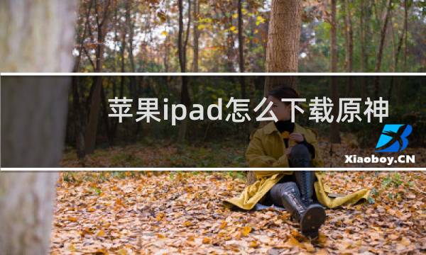 苹果ipad怎么下载原神