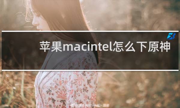 苹果macintel怎么下原神