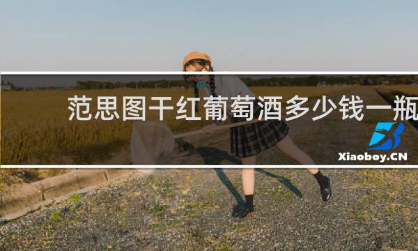 范思图干红葡萄酒多少钱一瓶