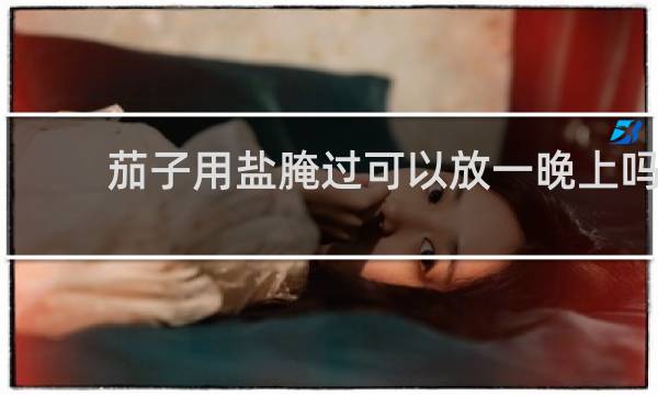 茄子用盐腌过可以放一晚上吗
