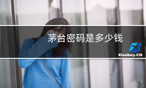 茅台密码是多少钱